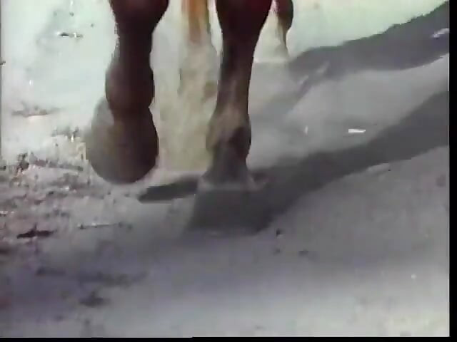 Two guys like to deep throat and deep penetration hard from behind on the floor