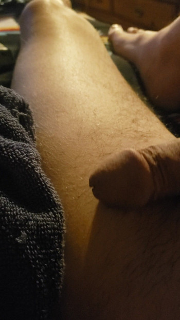 新しい大きなチンコ