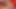 Busty black shemale with white panties gets a blowjob from a