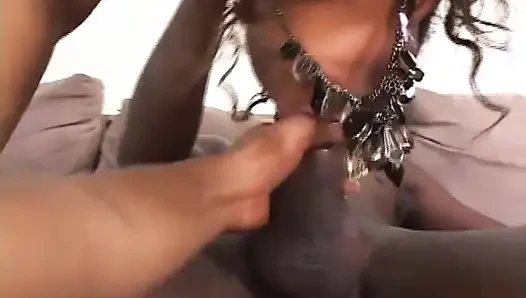 Brazilian Gets Pounded by African American