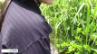 Pratinjau video