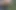 Ftm Pee in Forest Kinkycuntboy