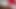 long foreskin movement (slowmotion) 518