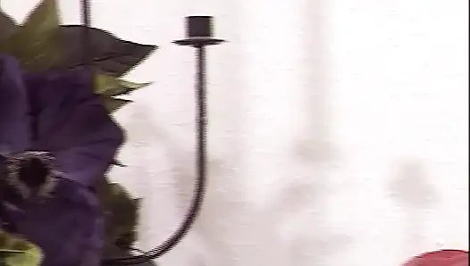 Hiary German Ladies Get Smashed in Threeway