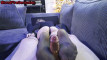 Pregled videozapisa