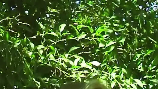 Weiße Höschen Chroniken: Sinnliche Gartenspiele