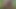 Raipurya sex videos Desi bhabhi makka ki khet khub choda
