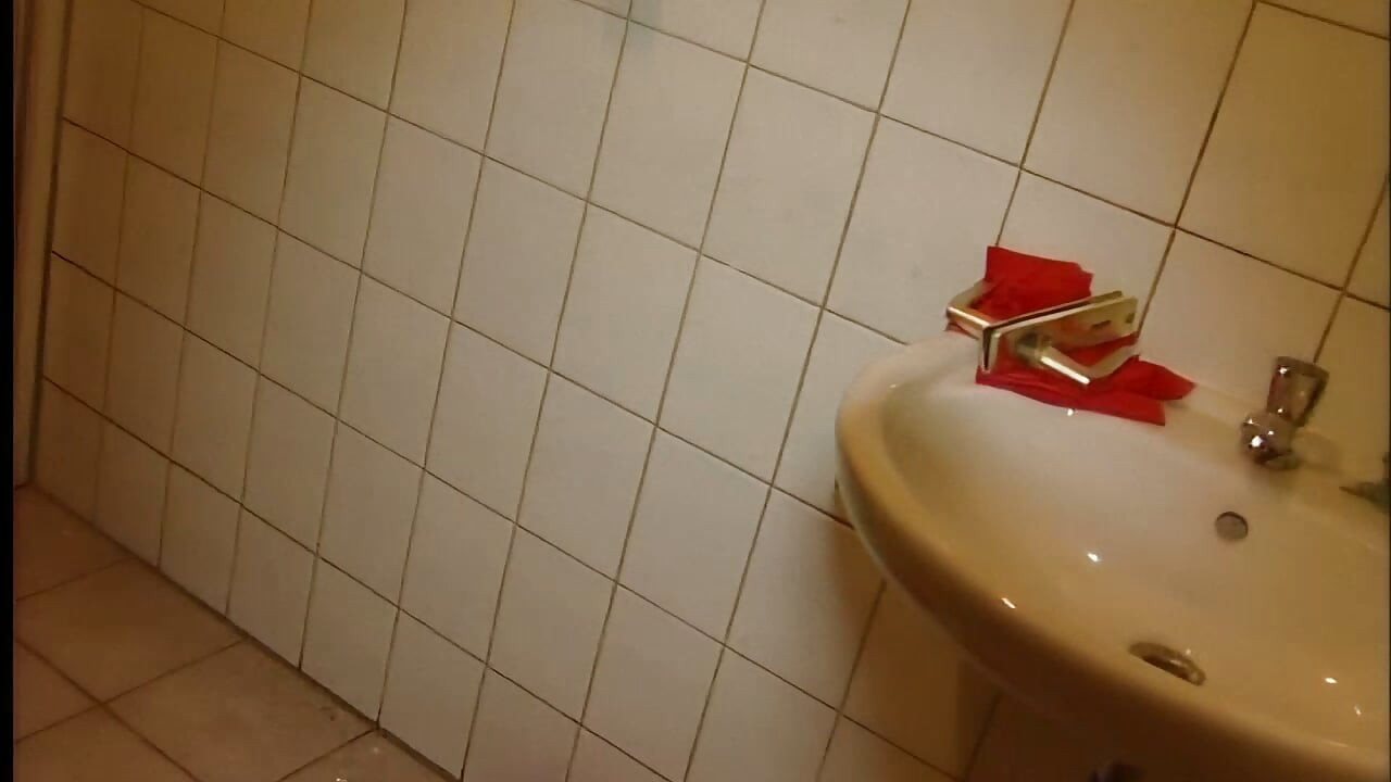 かわいいブルネットがトイレで熱いチンポを吹き飛ばす