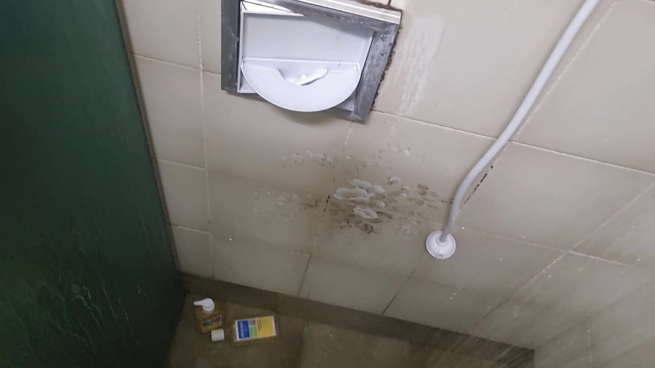 Hairy jerking off in the shower and moaning (Use phone)