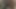 asian beefy eating cum while cuming (35'')
