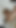 Seksi öğrenci kız İngilizce öğrenmek yerine öğretmenini sikiyor