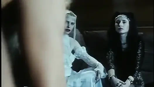 Young babes love hard cocks