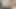 Sexy blonde femboy bunny dirty talking twerking fingering and playing with a dildo
