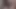 White Women Sucking Black Cock