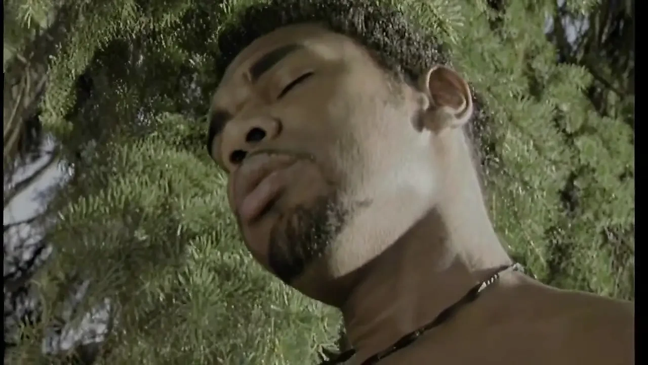 Beautiful Blonde Fucked by Black Man in the Woods