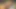 Swingers muda porno vintage Thailand sedang tur