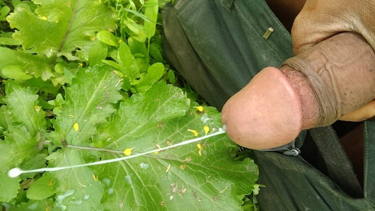 Mi pelo masturbación con la mano al aire libre