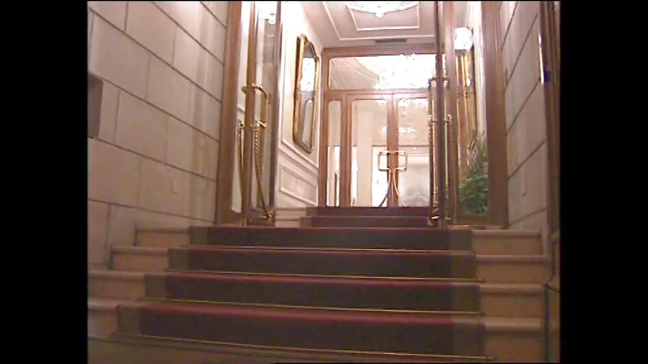 Wild Stallion Dominates The Scene  