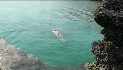 Onun son atlayışı