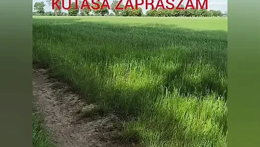 Zadbany kutas