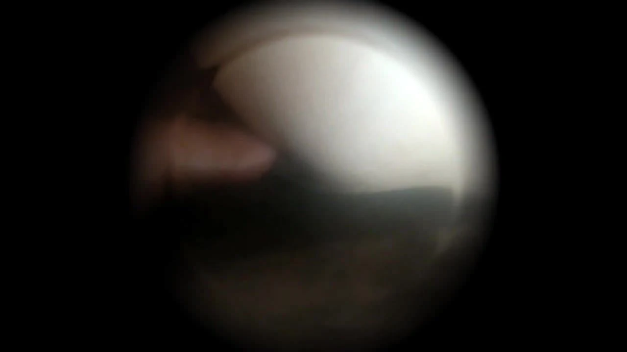 Anal rico con sandribella