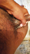 Pregled videozapisa