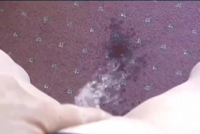 Pissing On Carpet