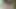 在一座桥下