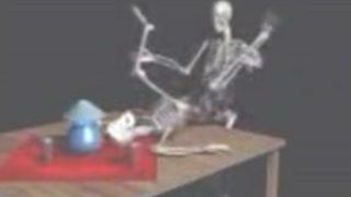 Skeletneukpartij