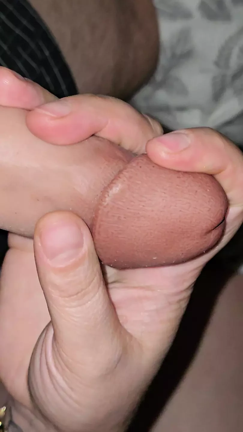 배다른 여동생이 바지에서 의붓오빠 자지를 꺼냈어