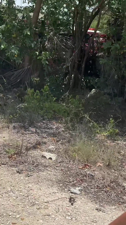 You Won't Believe What I Did Outside Today! (part 1 of 2)