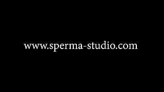 Sperma-Studios Cum and Creampie Secretary Nora - Short - 40602