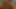Abitur amour (starlight-film)