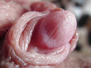 Gros plan extrême sur un énorme clitoris palpitant - vidéo complète