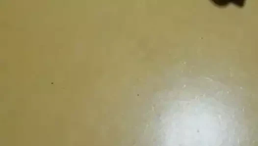 cumtribute