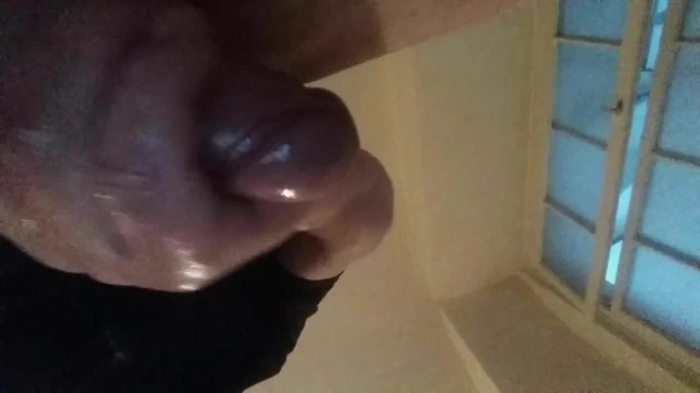 I like to play with him