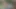 A hot girl was fucked by stranger in plantation  hard fucking,A girl was came to forest and a boy was looked her and fucked