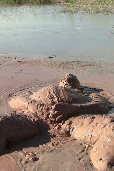 Splish Splosh - What a Mud-jump!