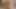 Cute African Amateur Slut Live Interracial Home Porn