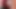 PaintedRose video