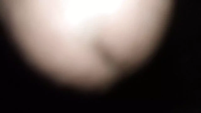 Hot guys Cockes