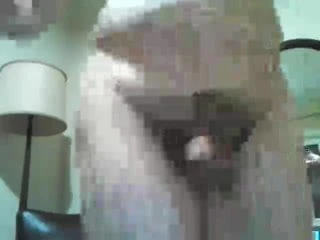me, my small cock &my ass