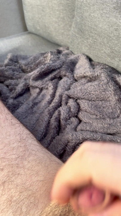 家で追いかけている。午前