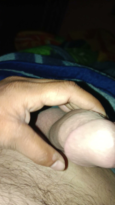 Indian Desi cock