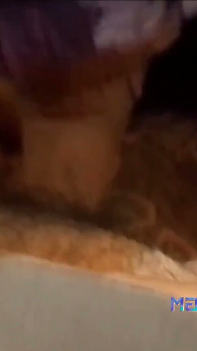 It tastes so good | Clip 1