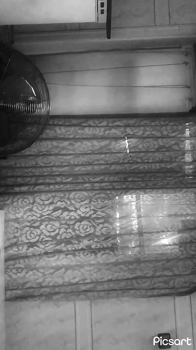 Phishnet moze men kamsin