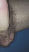 Pratinjau video