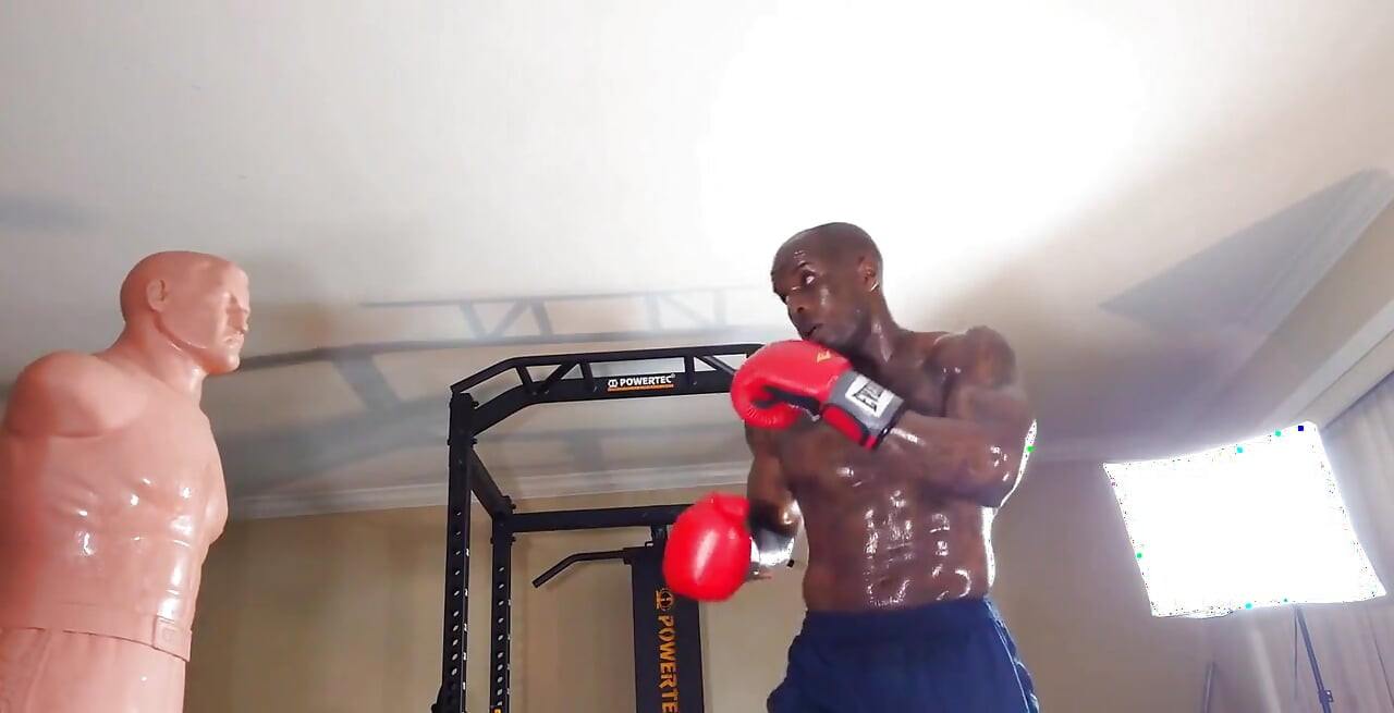 Boxing Workout the Core Is Defined by the Structures That Make up the Lumbo-pelvic-hip Complex (lphc) and Includes the Global an