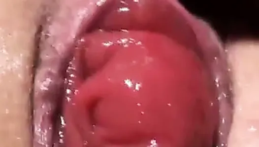 Prolapse licking