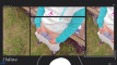 Pregled videozapisa